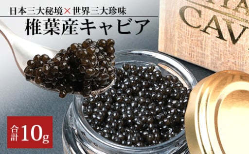 HEIKECAVIAR 10ｇフレッシュキャビア