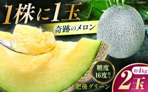 【先行予約】 【数量限定】 肥後グリーン メロン 約4kg（2玉） 【とみおか農園】