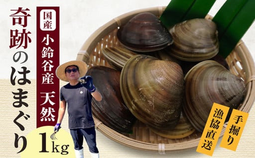 🌟奇跡のはまぐり🌟小鈴谷産天然はまぐり1kg