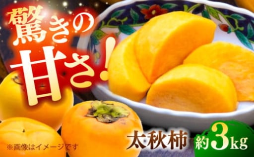 【先行予約】【数量限定】太秋柿 約3kg 【日本フルーツ株式会社】