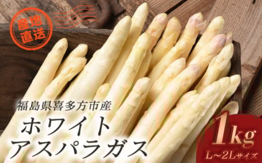 ホワイトアスパラガス1kg（2L、L込）
