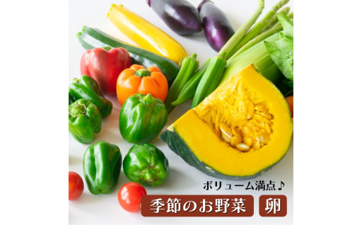 ＜12ヶ月定期便＞旬の採れたてぜいたく野菜セット（卵付き）2人用