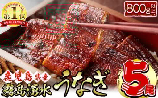 【数量限定】【お礼の品人気No1】霧島湧水鰻の蒲焼き 160g以上×5尾＜計800g以上＞