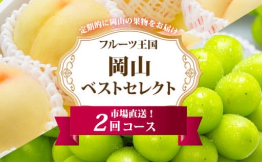 ［2025年先行予約］ 岡山県産 果物定期便 2回コース