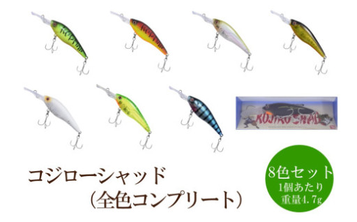 ただ巻きでもよく釣れる！！🎣