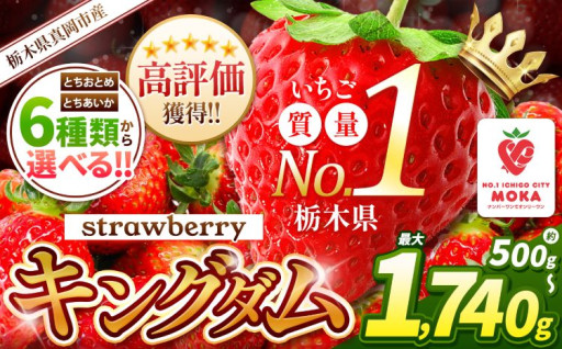 【2026年先行予約】旬に発送♪ 人気超上昇！！ 選べる いちご 6種類 350g ～ 1740g以上