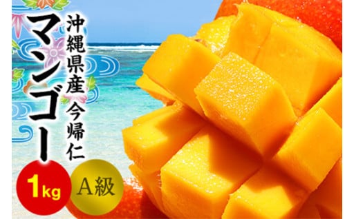 今帰仁マンゴーA級１kg以上
