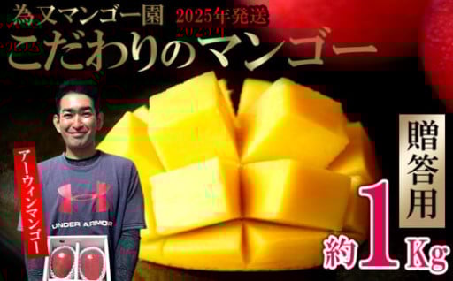 為又マンゴー園　贈答用こだわりマンゴー　約1kg