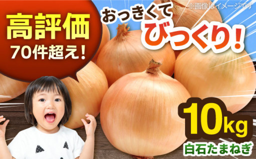 【あふれる甘さ？！】たまねぎの産地より旬をお届け！