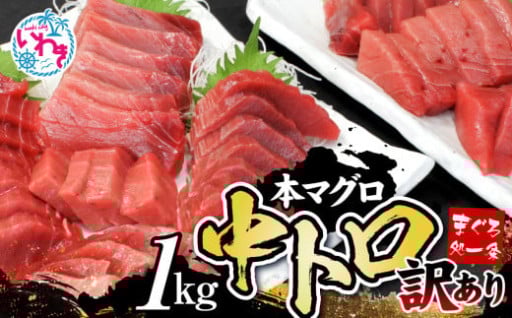 訳あり本マグロ中トロ&赤身 約1kg 大容量