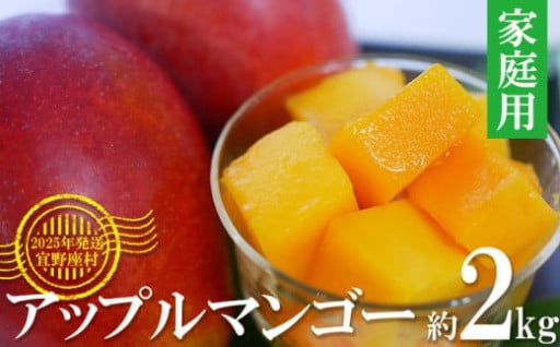 【2025年発送】家庭用アップルマンゴー約2kg