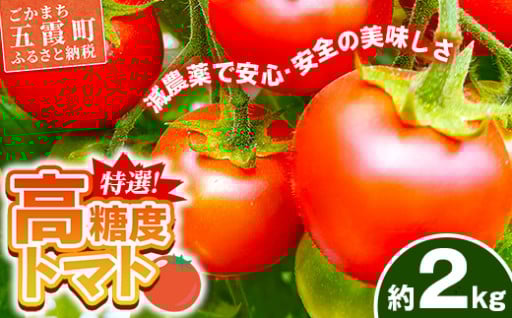 山中トマト農園がお届けする！五霞町の特選 高糖度トマト 2箱（約2kg）