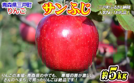 りんご【サンふじ】2025年産先行予約受付中！