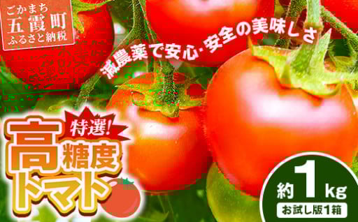 山中トマト農園がお届けする！五霞町の特選 高糖度トマト お試し 1箱（約1kg）