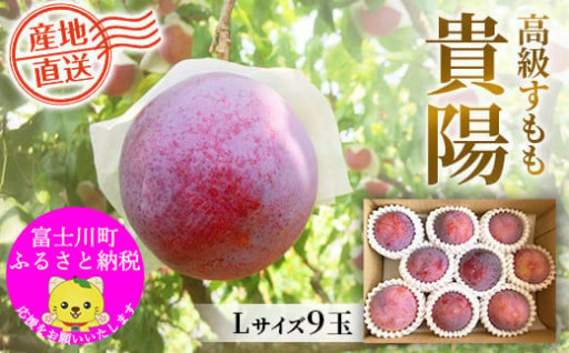 高級すもも　貴陽（L）9玉！掲載開始しました！