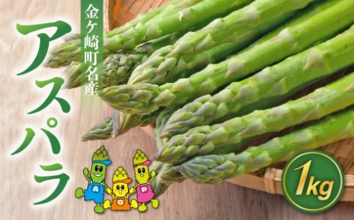今だけ！アスパラガス 1kg (約30〜50本)