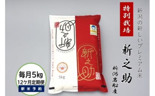 【令和7年産】岩船産 特別栽培 新之助 5kg×12回