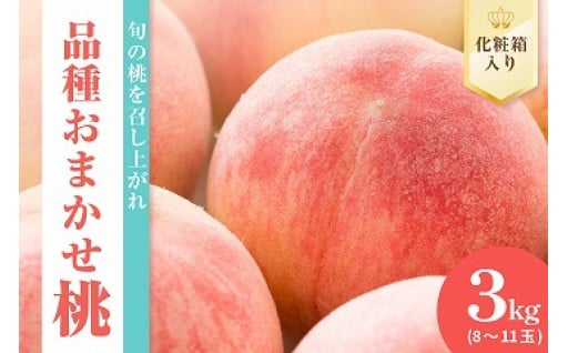 🍑【 先行予約 数量限定 】 令和7年産 もも 🍑