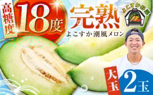 貴重な高糖度のネットメロン