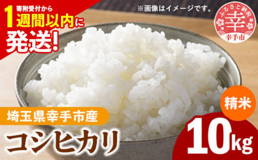令和6年産 幸手市産 コシヒカリ 白米10kg
