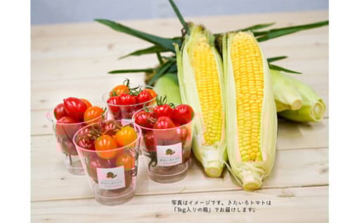 きたいろトマト （1.6kg）と 朝もぎトウキビ （16本）のセット