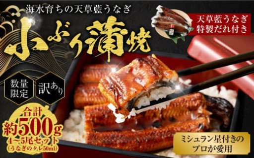 【数量限定】 【訳あり】 【ミシュラン星付きのプロが愛用】海育ちの天草藍うなぎ 小ぶり蒲焼 500g（4～5尾）