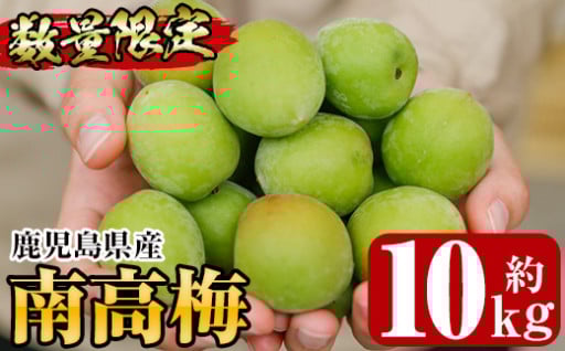いちき串木野市の南高梅（生梅）を是非お使いください！