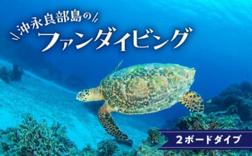 Cカード所持者限定！半日に2本潜れるボートダイビングのプランをご紹介🤿