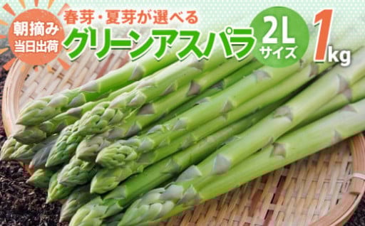 朝採りのアスパラを直送致します！