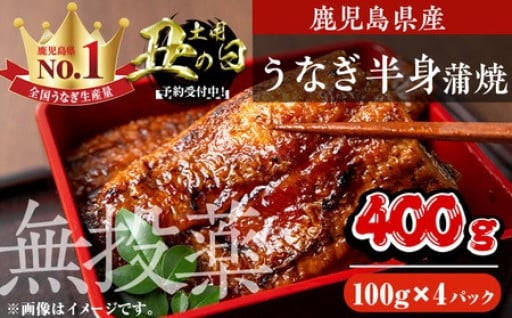 鹿児島県産うなぎ半身カットセット