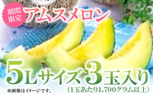 益田産アムスメロン　特大5Lサイズ（3玉入り）