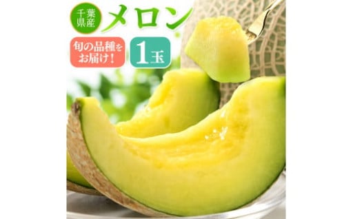 千葉県産 メロン 1玉 高見メロン or プリンスメロン
