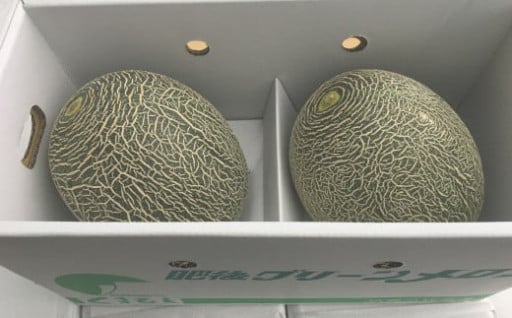 熊本特産！肥後グリーンメロン 2玉入り