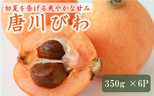【先行予約】初夏🎐の訪れを告げる果実～唐川びわ 350g×6パック～