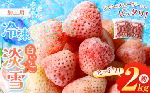 冷凍 白 いちご 淡雪 約 2kg