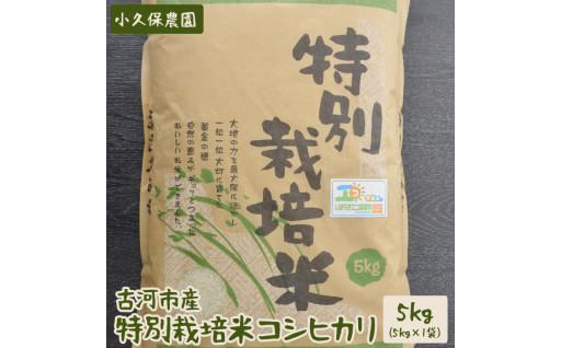 【令和6年産】古河市産 特別栽培米コシヒカリ5kg【小久保農園】 