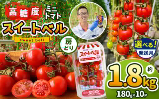 ミニトマト スイートベル 180g × 10P