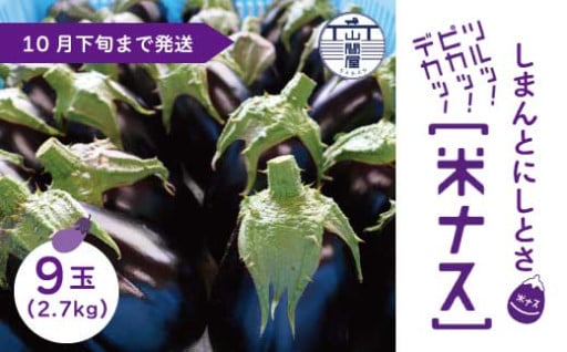 果肉がしっかり！揚げ物や炒め物に最適な米ナス