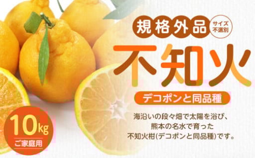 【規格外品】不知火 (デコポンと同品種) ご家庭用 10kg