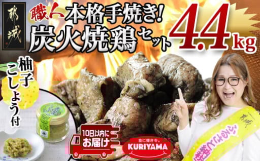 都城市より～本格手焼き!炭火焼鶏4.4kg(ゆずこしょう付)≪みやこんじょ特急便≫