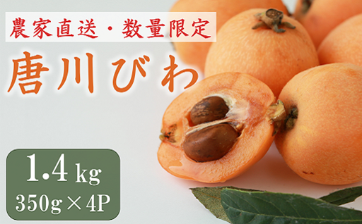 初夏の代表！✨唐川びわ✨1.4kg（350g×4パック）をお届け