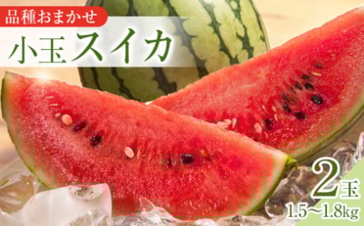 【先行予約】【品種はおまかせ】小玉スイカ　2玉