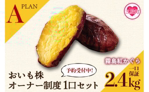 おいも株オーナー制度  2株 最低2.4kg保証