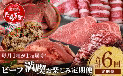 くまもとビーフ満喫 お楽しみ定期便 合計6kg