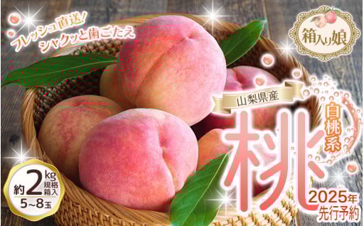 朝もぎ直送！ 「 桃 白桃 系 」 5～8玉