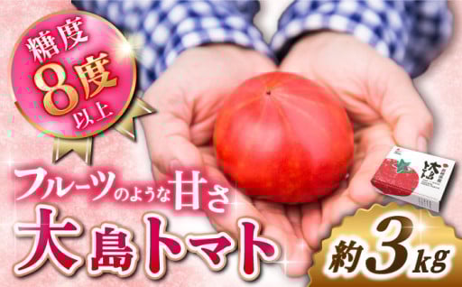糖度8度以上！ 大島トマト 約3kg