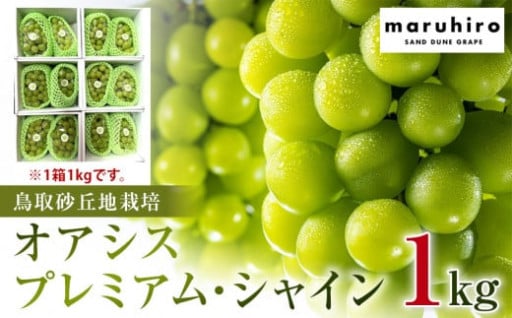 .【先行予約】オアシス・プレミアム・シャイン 1kg（鳥取砂丘地栽培）