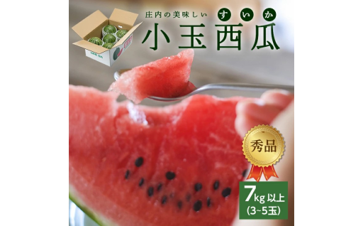 庄内砂丘で育った甘さとシャリ感たっぷりの逸品🍉