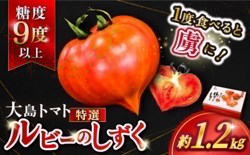 糖度9度以上！大島トマト特選 ルビーのしずく 約1.2kg