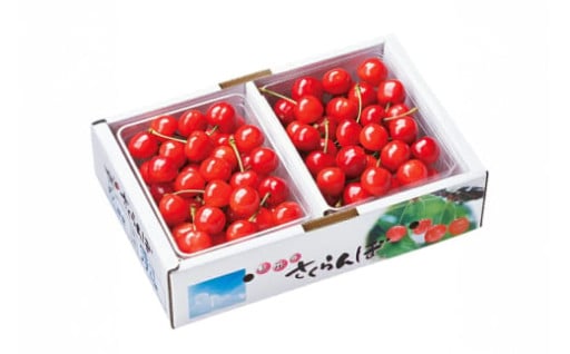 【期間限定】さくらんぼの代名詞ともいえる人気品種